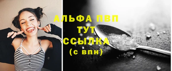 крисы Белокуриха