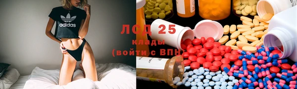 крисы Белокуриха