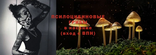каннабис Беломорск
