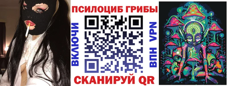 kraken Воркута Псилоцибиновые грибы Psilocybine cubensis что такое
